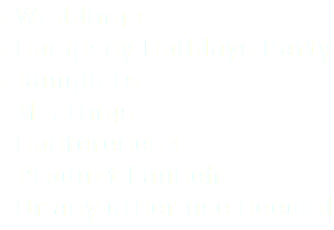 • Weddings • Company Holidays Party • Banquets • Meetings • Conferences • Product Launch • Or any other use needed